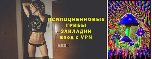 мдпв Верхний Тагил